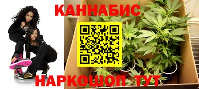 прущие крисы Аша