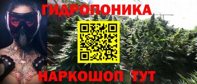 прущие крисы Аша