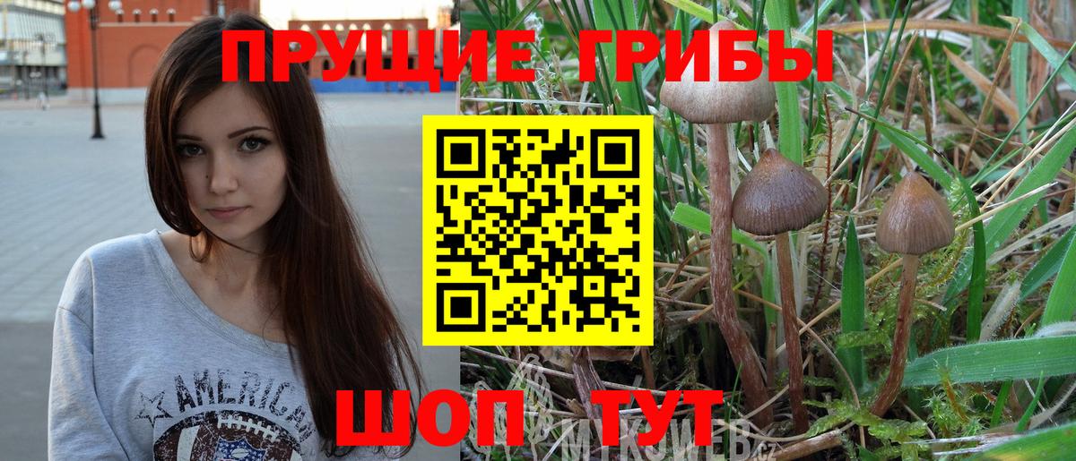 Псилоцибиновые грибы Magic Shrooms Похвистнево