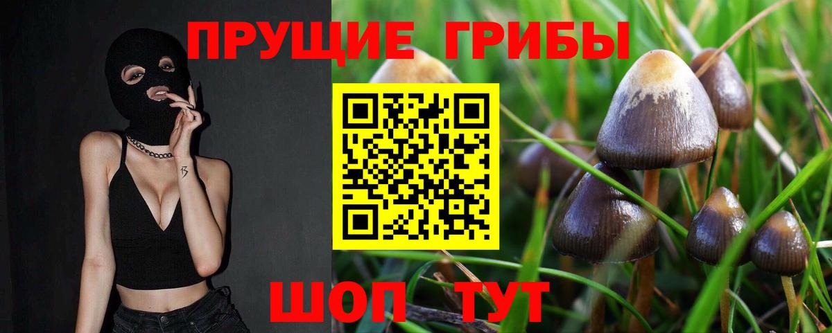 Галлюциногенные грибы MAGIC MUSHROOMS  Вход с VPN  Похвистнево 